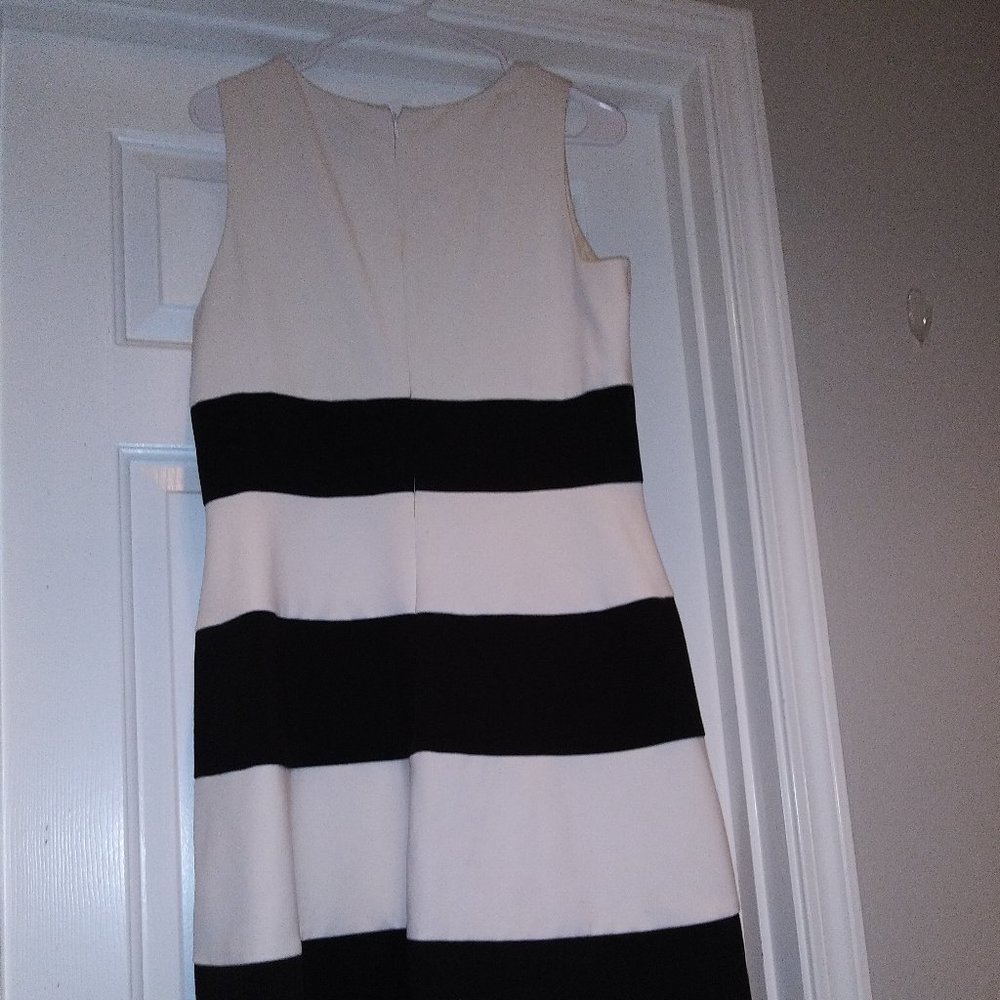 Ann Taylor Sleeveless Black and Creme dress Sz 14P